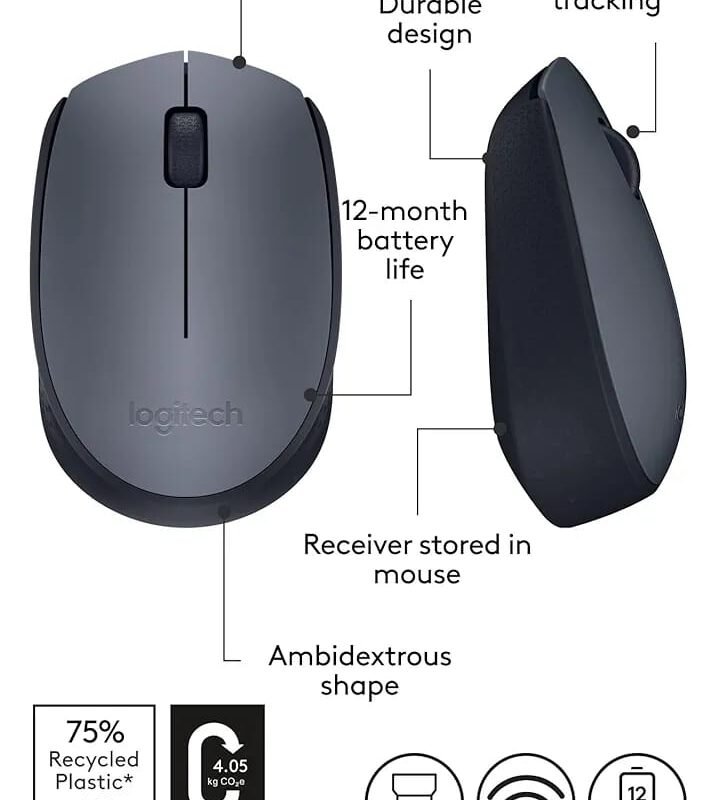Logitech M170 ( Wireless ) mouse