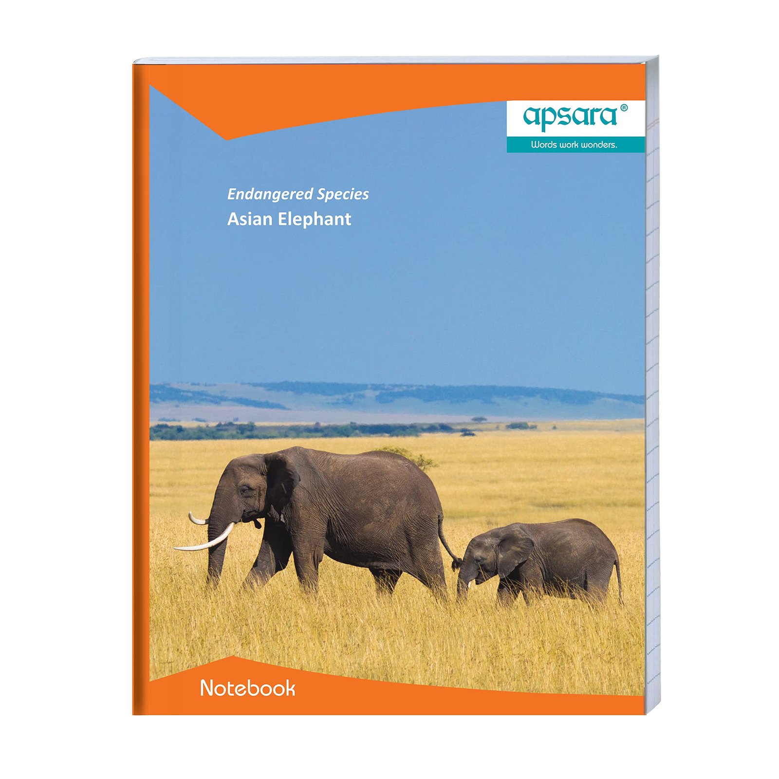 Apsara Notebook 172 Pages(pack of 6 pcs)